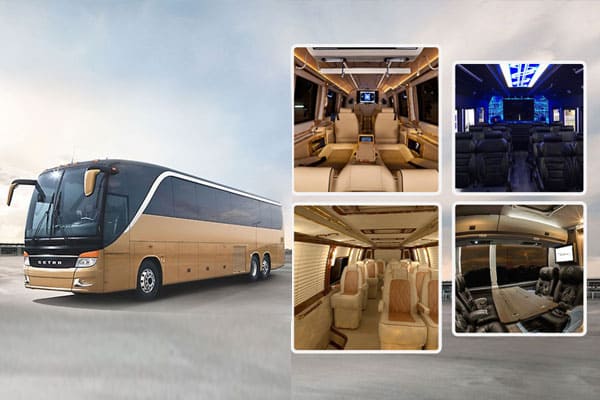 Luxury Coach services