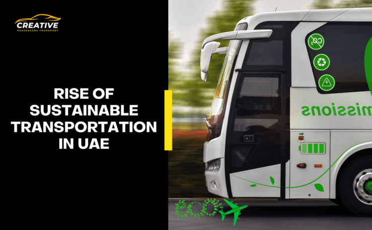  The Rise of Sustainable Transportation Options in the UAE